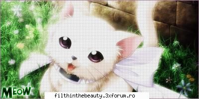 hot not hot hot cookie moderator 8D